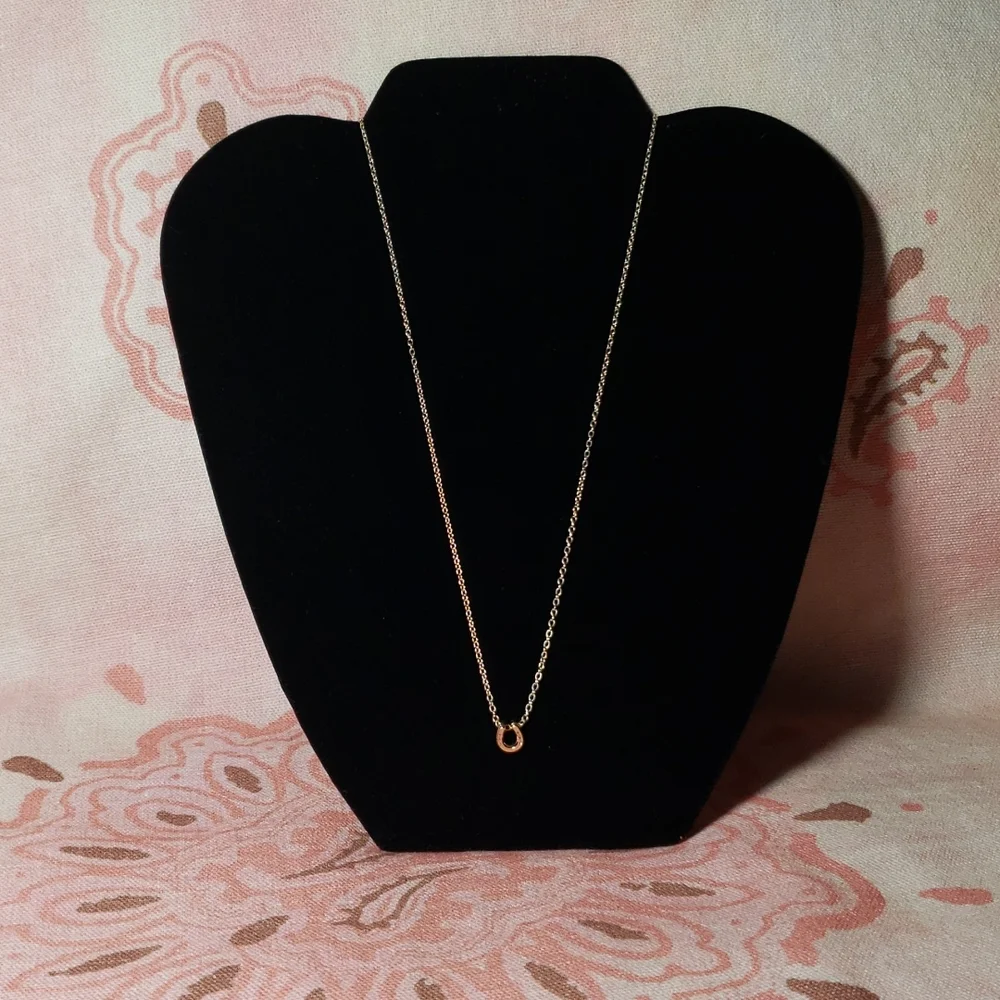 Lucky Horseshoe Necklace Horse Cowgirl Western Country Vaquera Dainty Minimalist - Picture 12 of 13